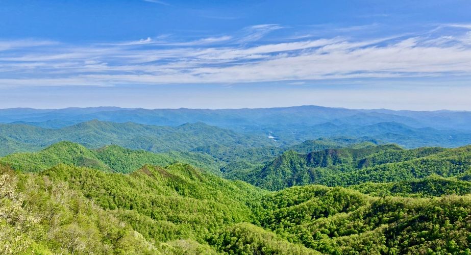 Deep South 9 Deep South 9